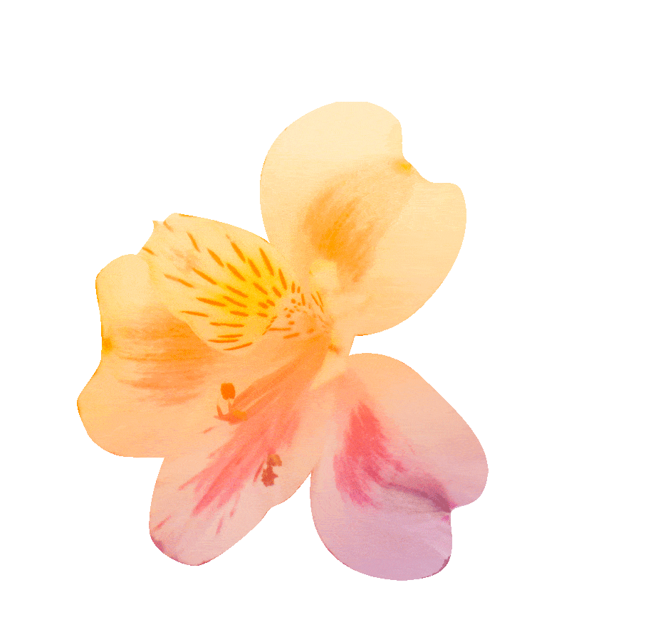 Animated flower