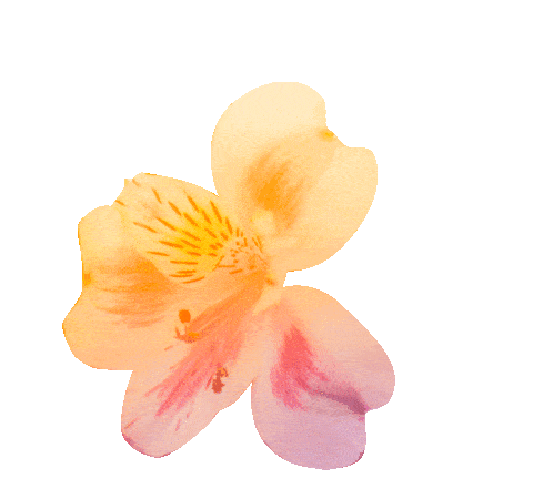 Animated flower